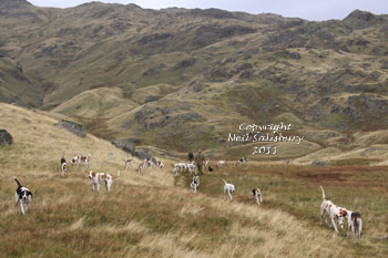 Fell Hunting Pictures by Neil Salisbury